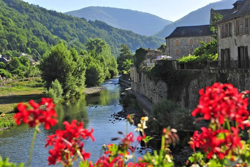 Au 11 T3 Duplex, Village Vacances, Piscines, Parking Saint-Geniez-dʼOlt Exterior foto