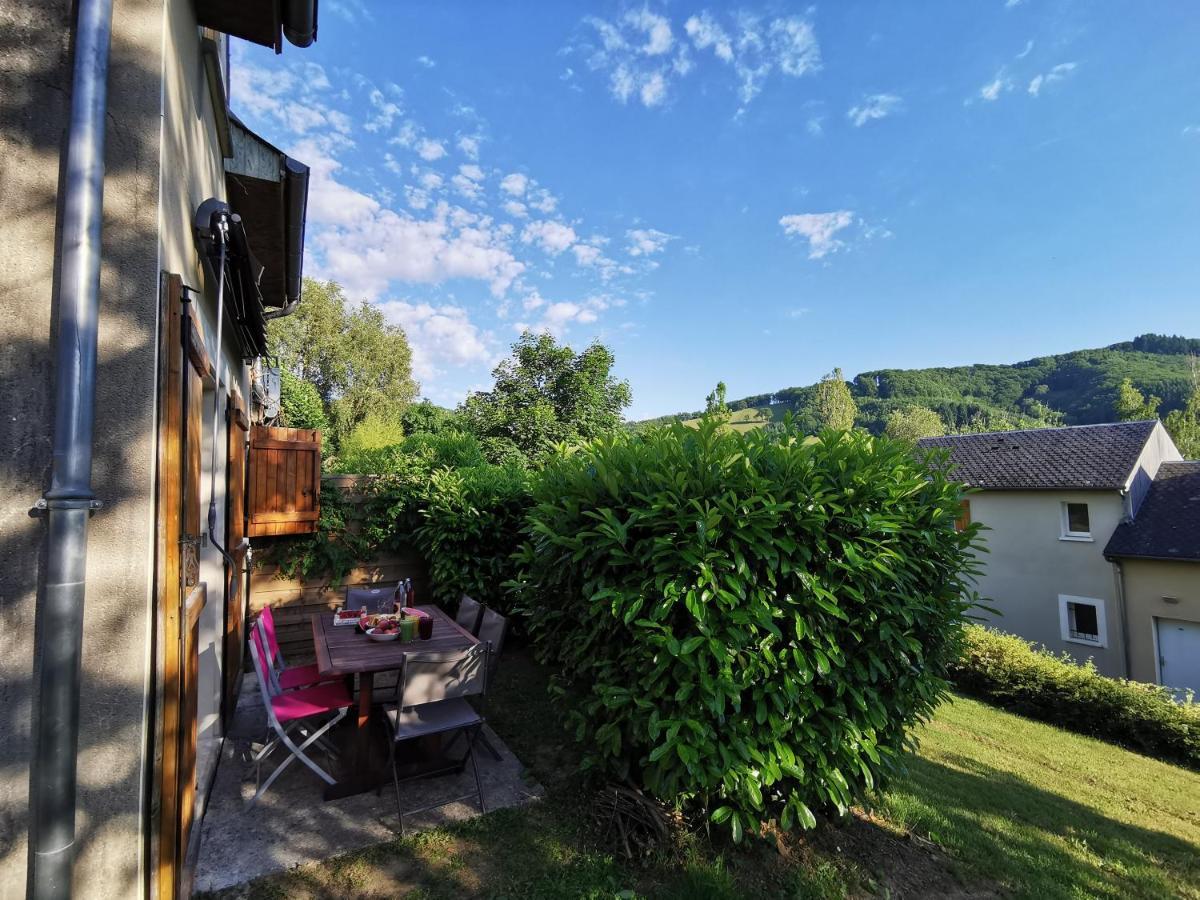 Au 11 T3 Duplex, Village Vacances, Piscines, Parking Saint-Geniez-dʼOlt Exterior foto